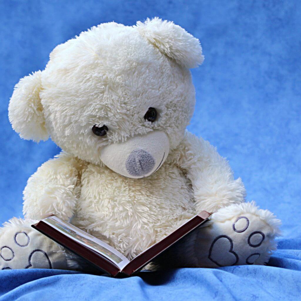 toy bear reading a book